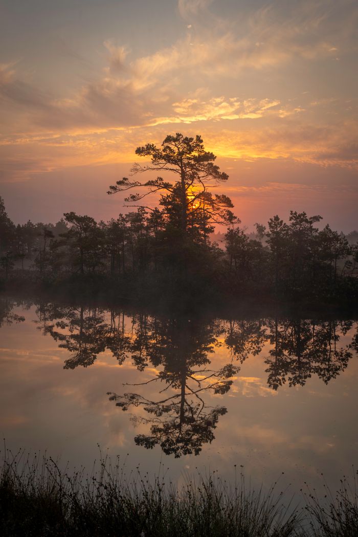 our-story Capture of a peaceful sunrise reflecting on a misty forest lake, showcasing nature's tranquility.